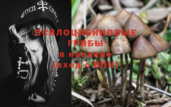 Альфа ПВП Вязники