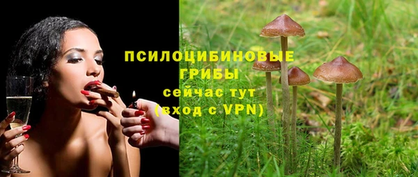 бутират Вяземский