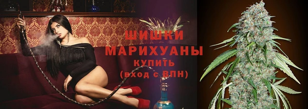 крисы Тобольск