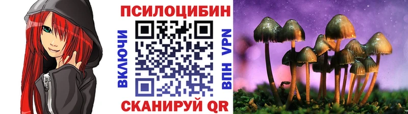 Купить где  Злынка  Псилоцибиновые грибы мицелий 